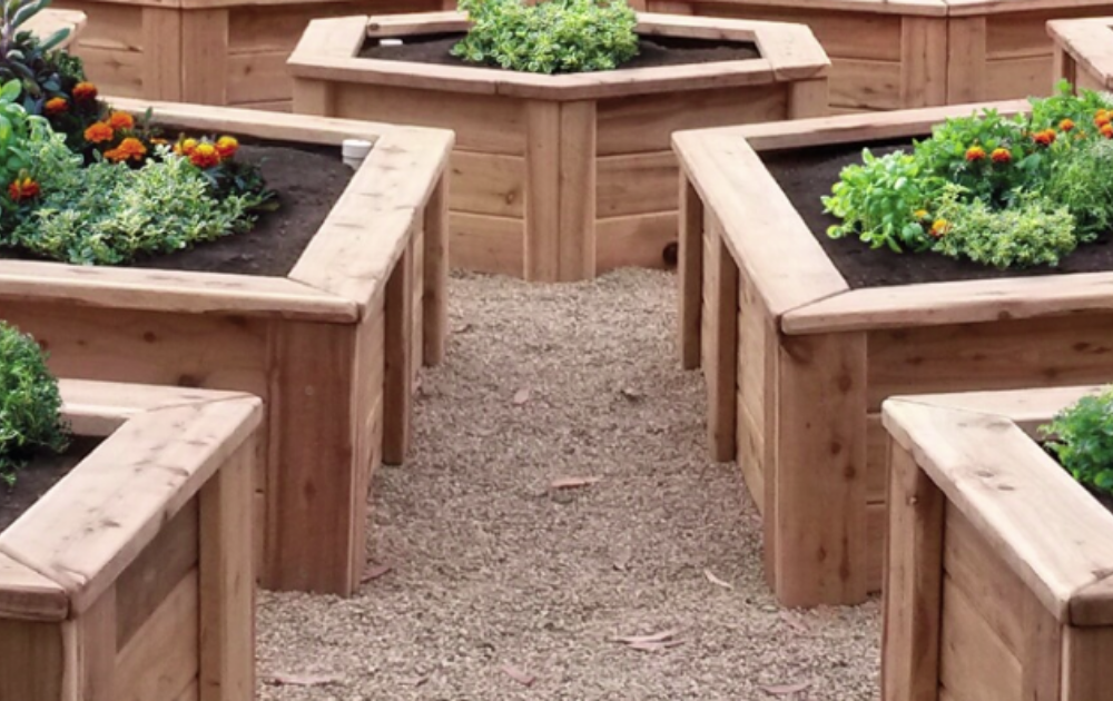 Wooden Raised Garden Beds