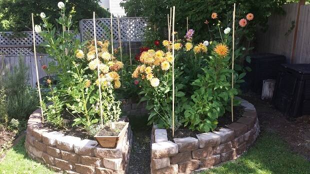 Keyhole Garden Design