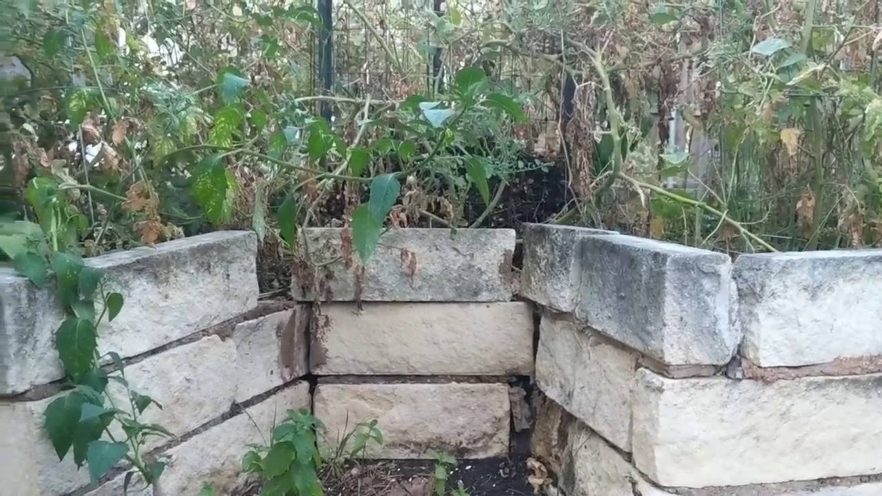 Keyhole Raised Beds Garden Planning Raised Beds Diy Plants