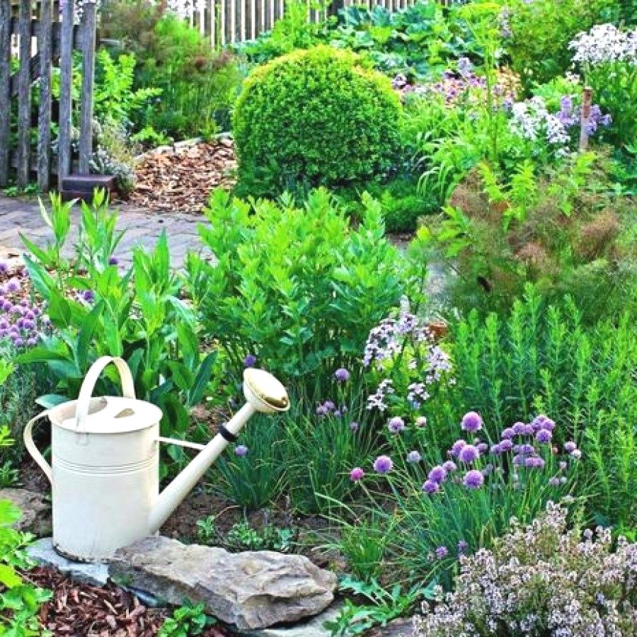 Raised Veggie Beds Backyard Herb Garden