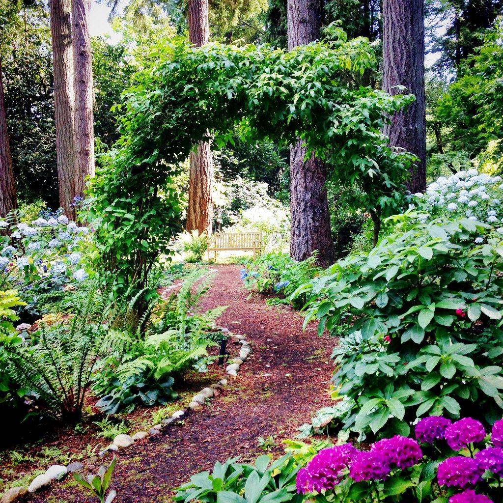 Beautiful Side Yard Garden Path Design Ideas