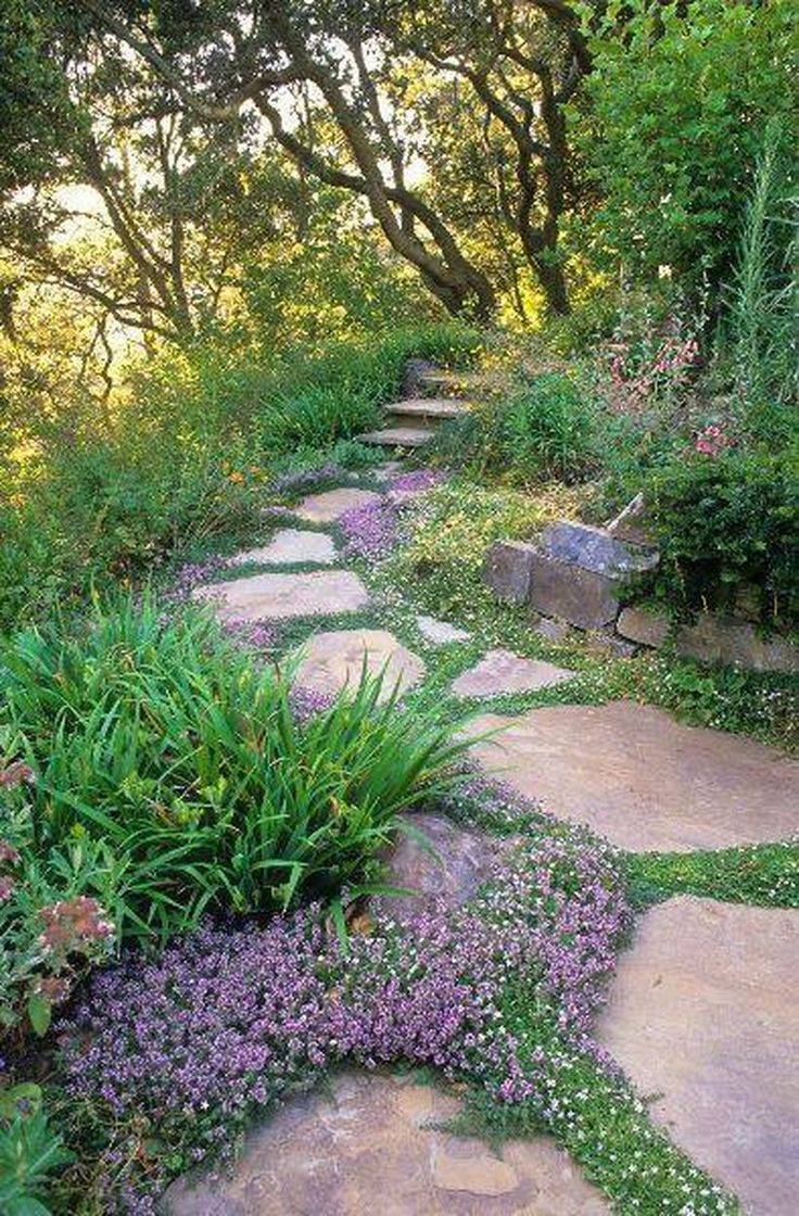 Beautiful Shady Plant Ideas