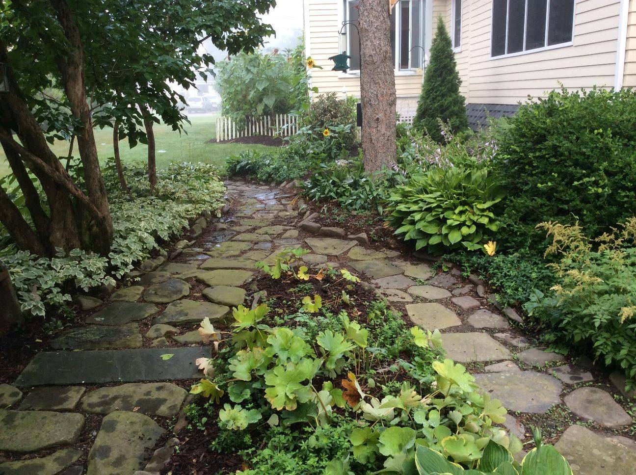 Beautiful Shade Garden Ideas