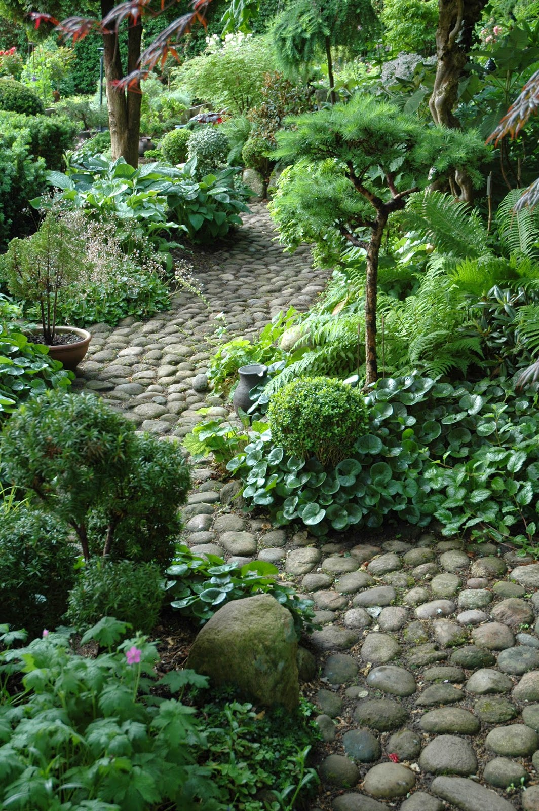 Shade Garden Natural Walkway Stone