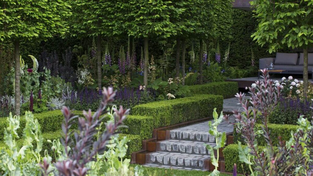 Our Woodland Garden Ideas