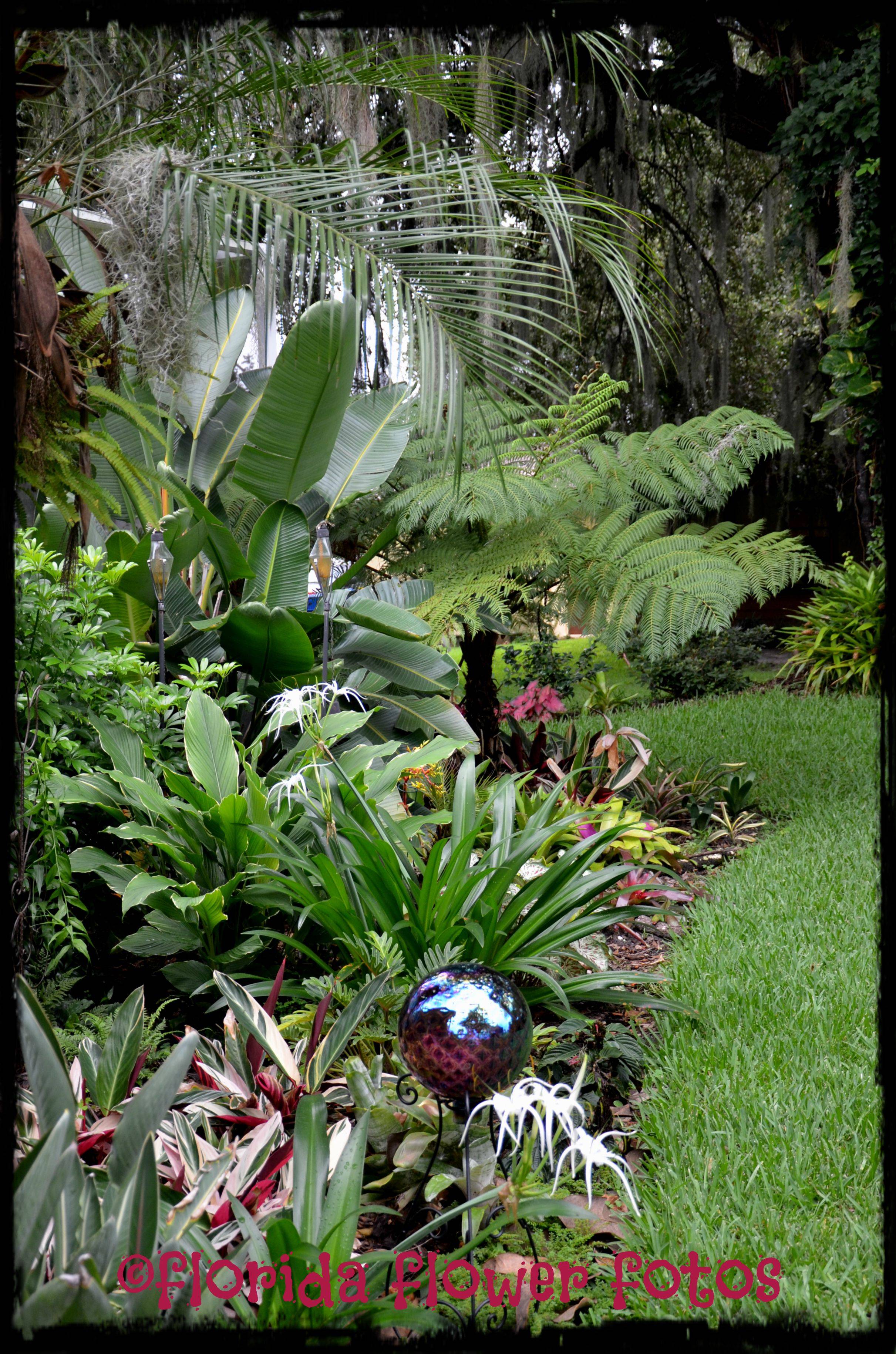 Best Tropical Shade Gardening Ideas