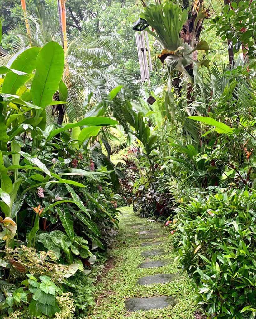 Best Tropical Shade Gardening Ideas
