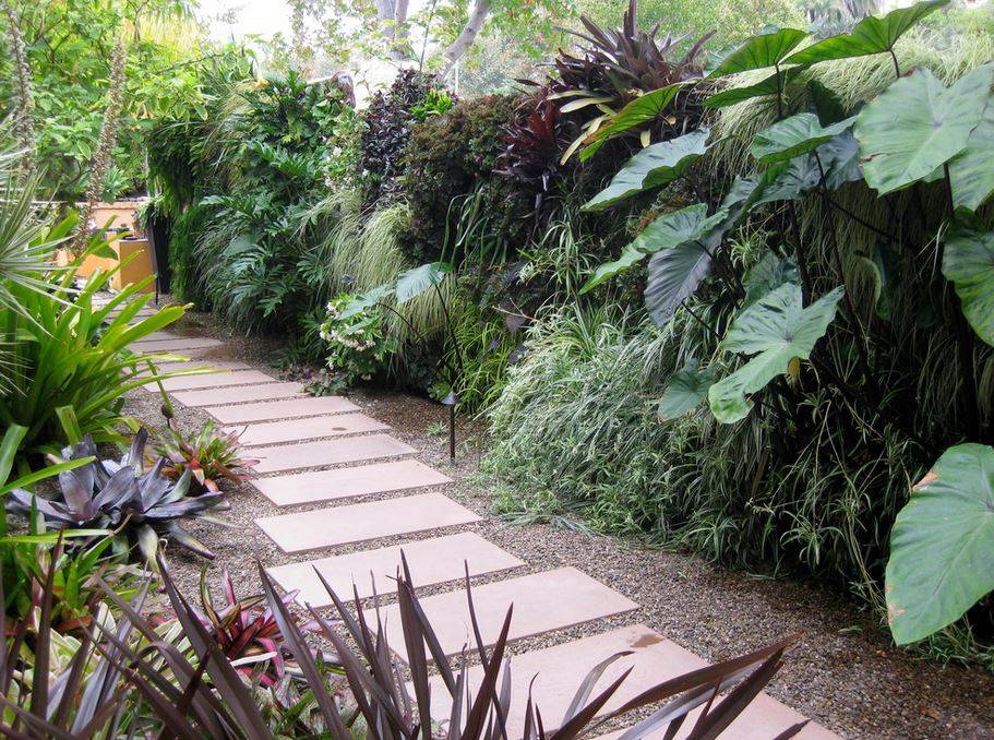 Best Tropical Shade Gardening Ideas