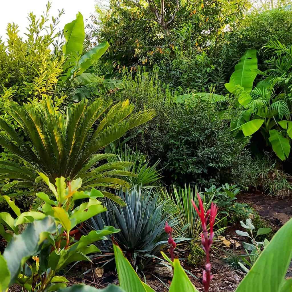 A Shady Landscape Shade Garden Design