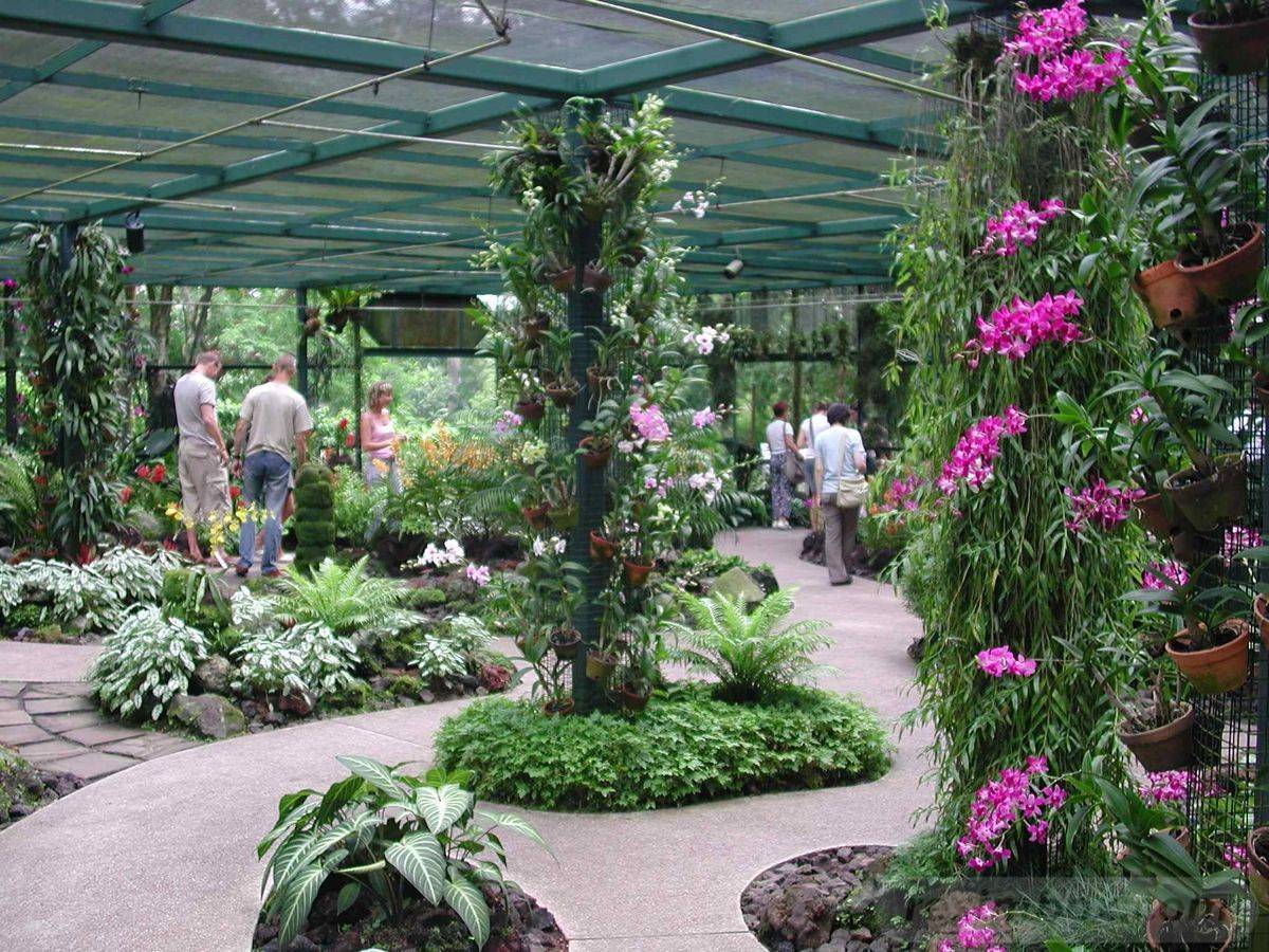 The Top Shade Garden Ideas