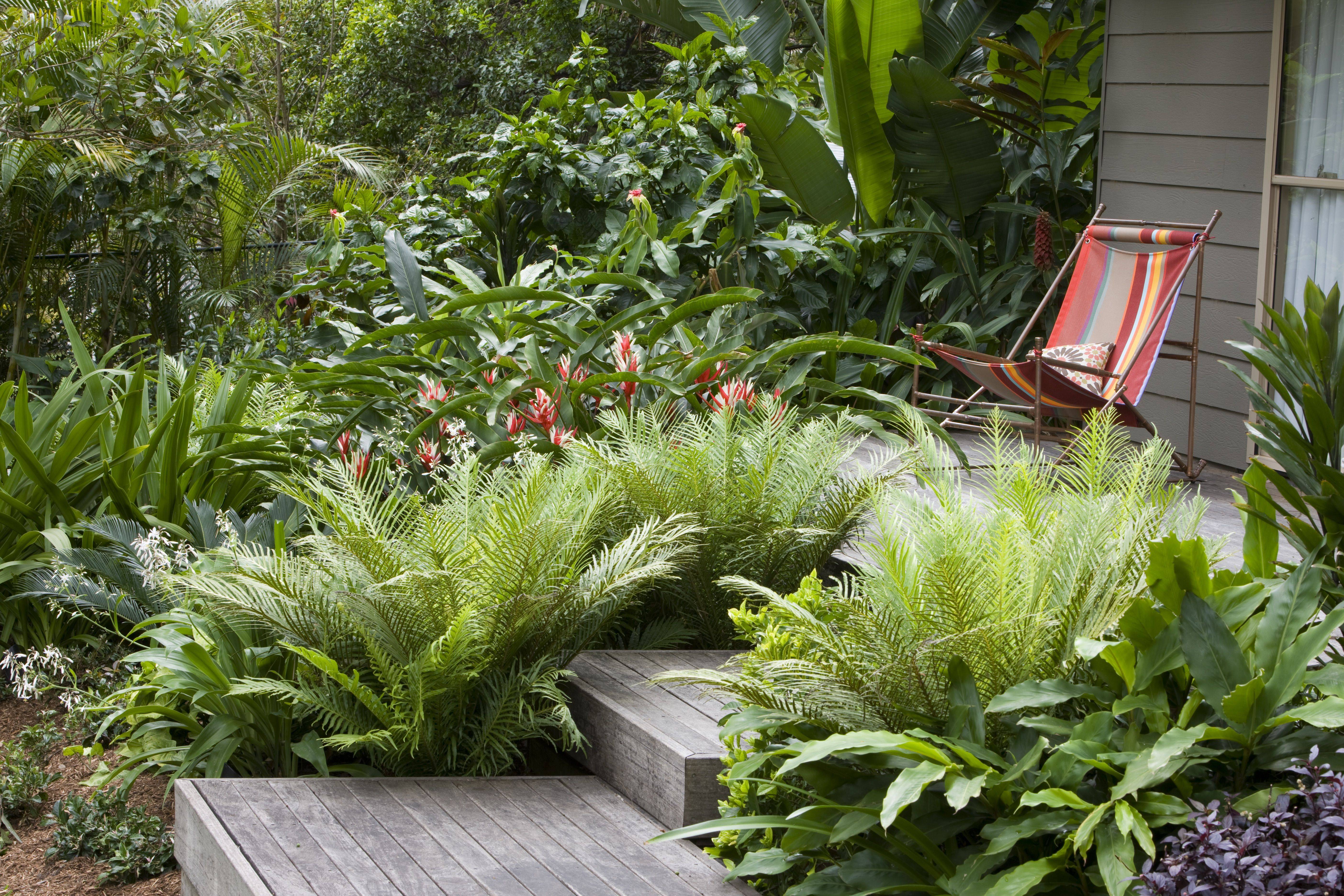 Tropical Garden Tropical Garden
