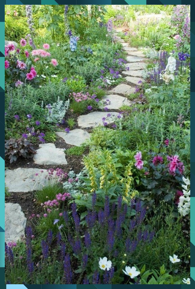 Planted Border Outdoor Gardens