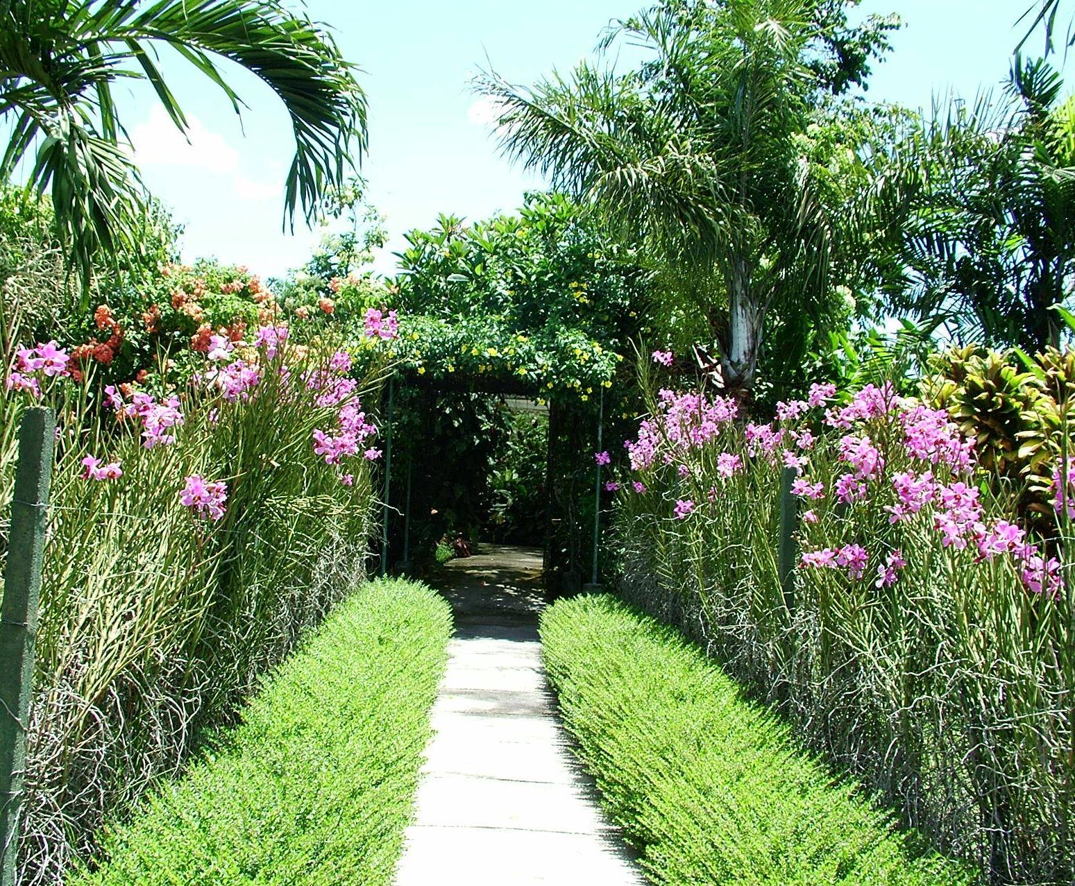 Cottage Garden Plants