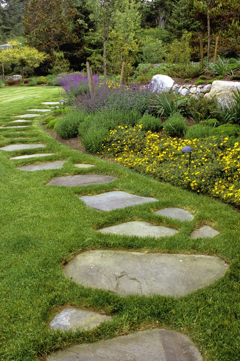 Mesmerizing Garden Stone Path