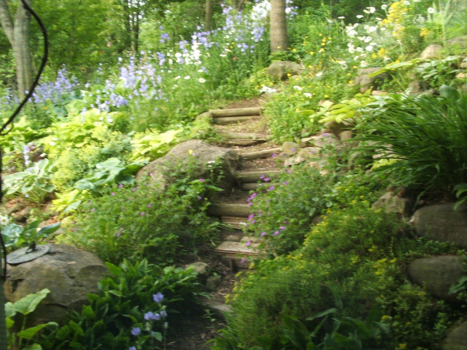 Affordable Garden Path Ideas