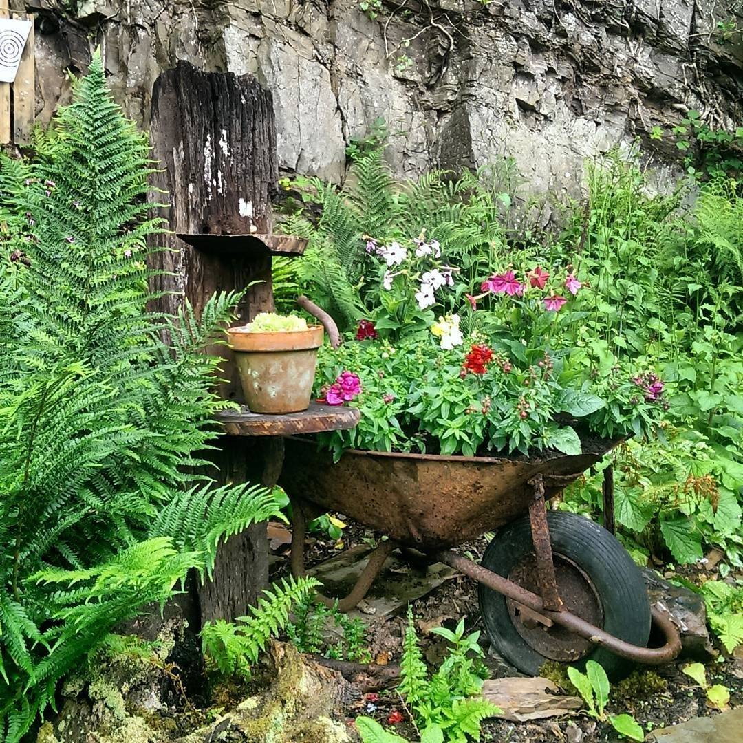 Peaceful Hosta And Fern Garden Ferns Garden Shade Garden Garden