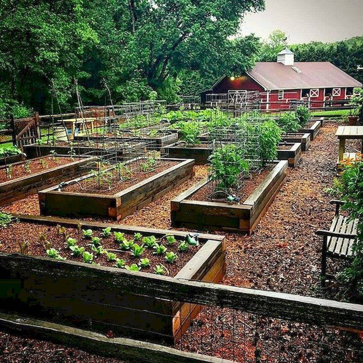 Vegetable Garden Raised Patio Backyard Small Ideas