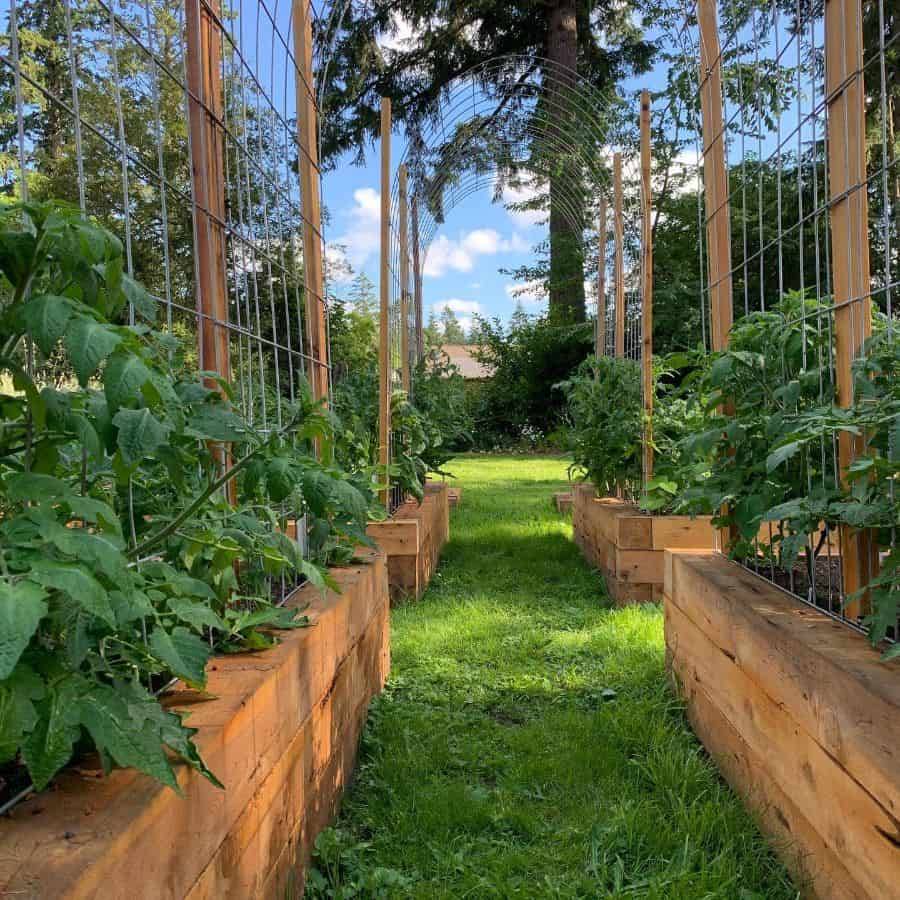 Backyard Raised Bed Garden Ideas