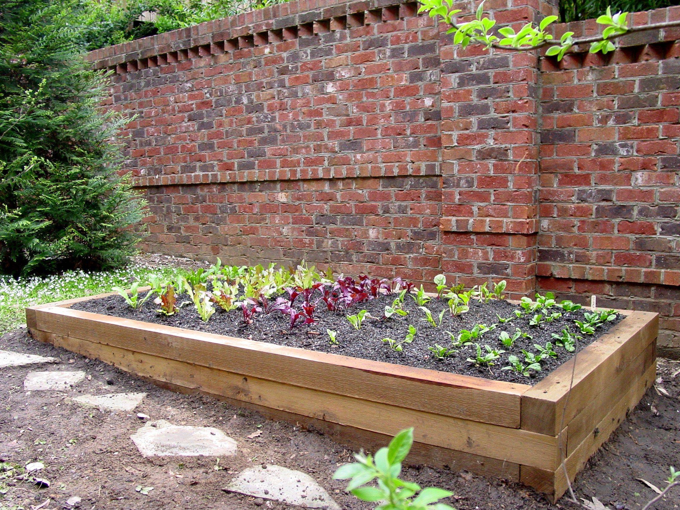 Raised Wooden Garden Bed Designs Examples Wooden Garden Planters