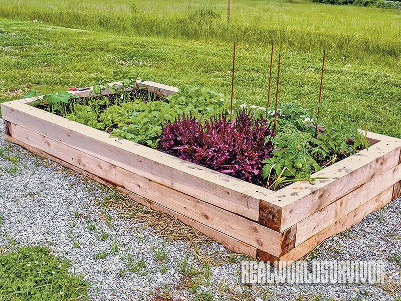21 Raised Garden Landscape Timbers Ideas Worth a Look SharonSable