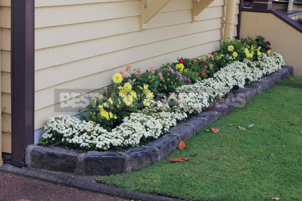 Raised Flower Planter