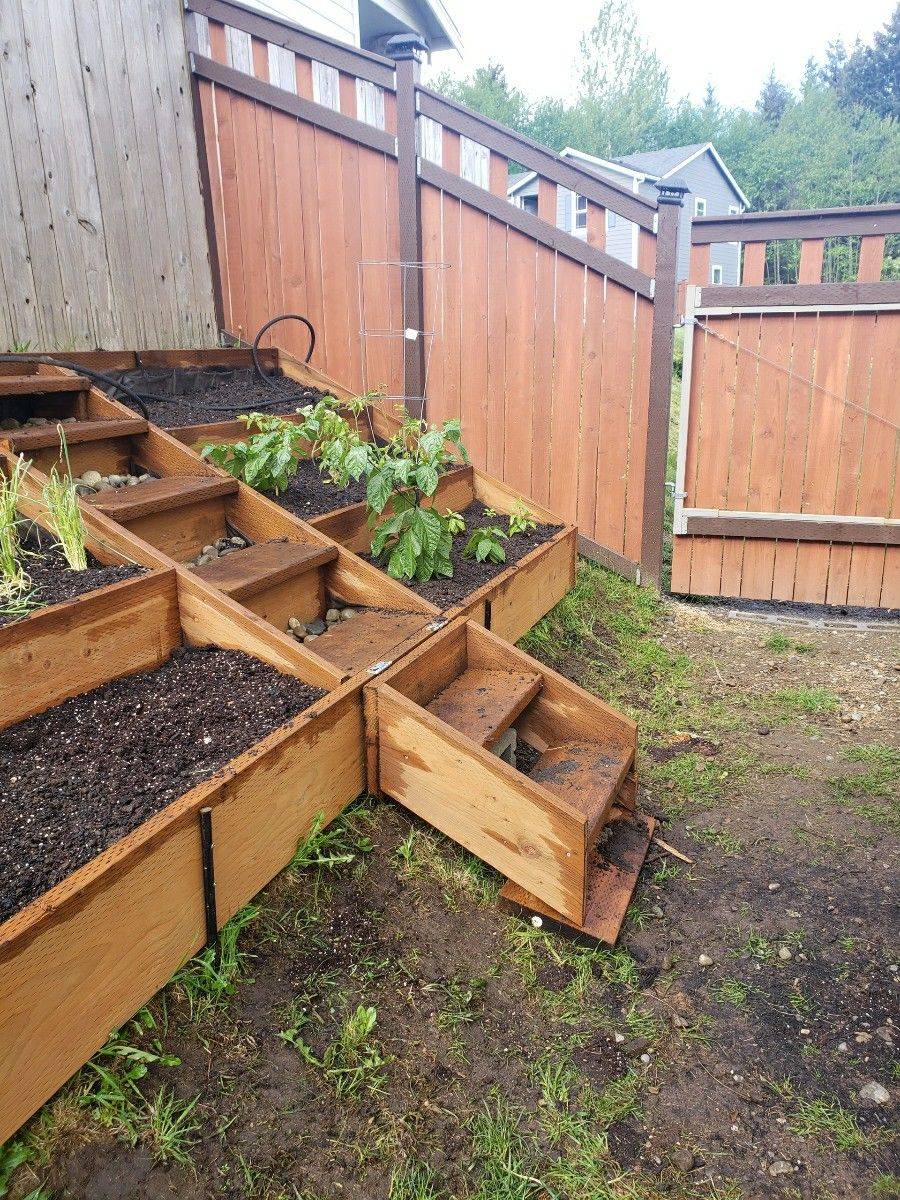 A Raised Vegetable Garden Bed