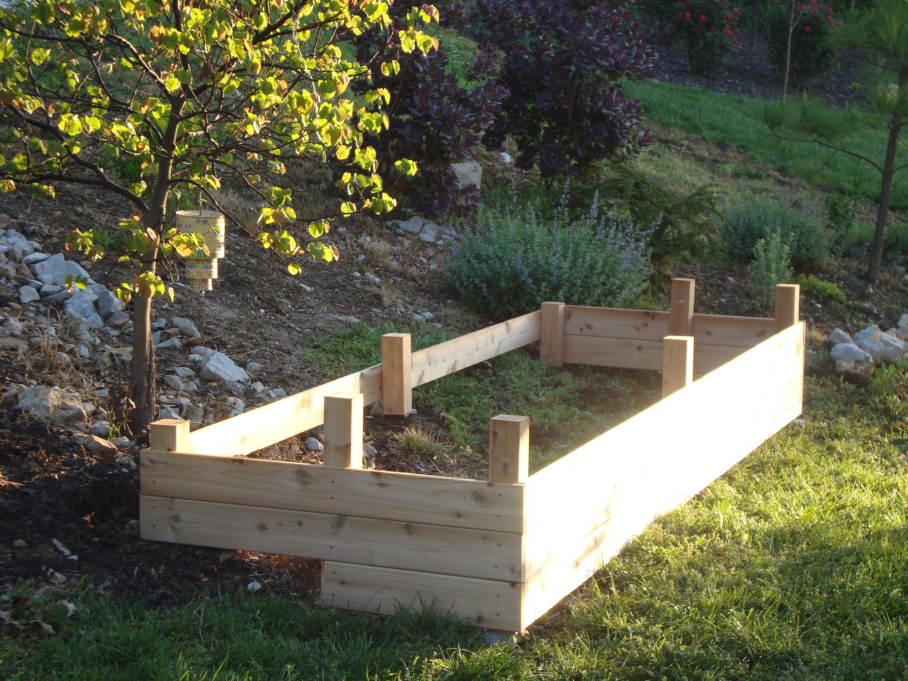 A Slope Vegetable Garden