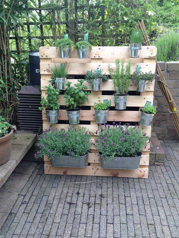 Gorgeous Summer Container Garden Flowers Ideas