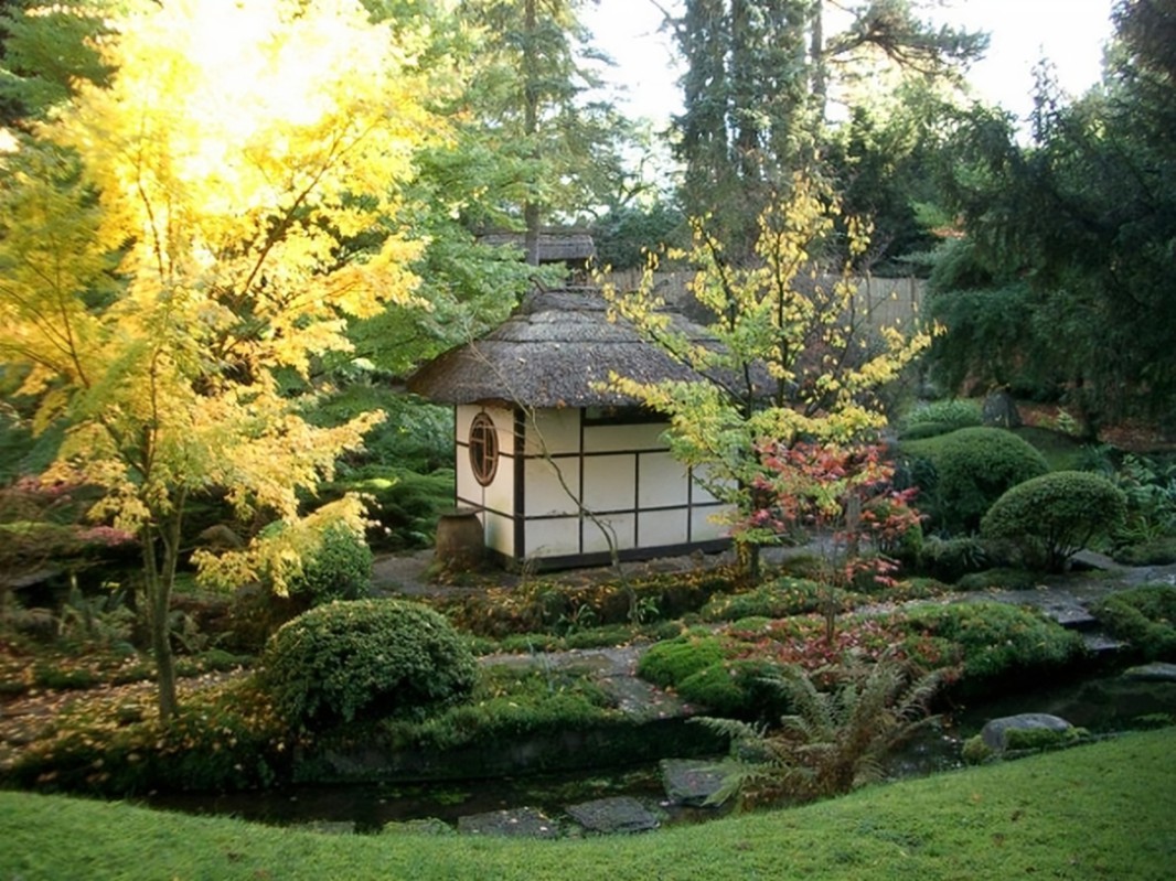 Marvellous Japanese Tea House