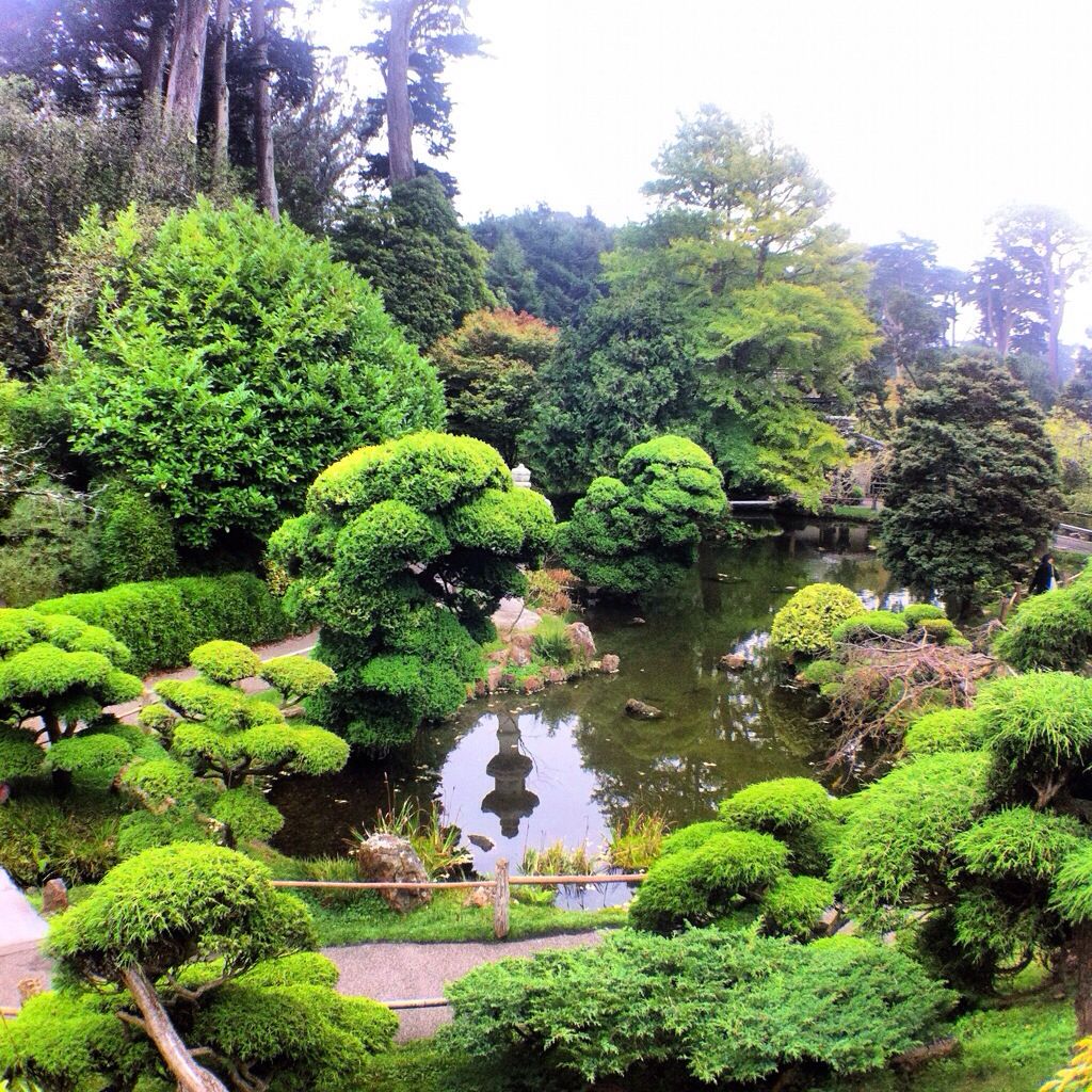 Open Coloradoboulevardnet