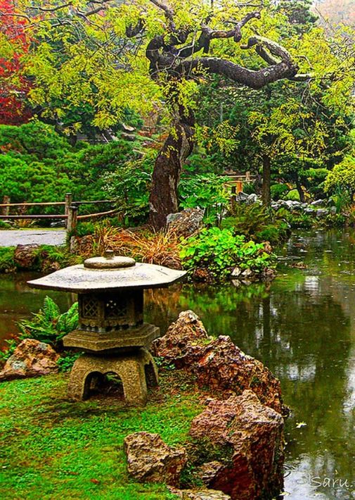 The San Francisco Japanese Tea Garden