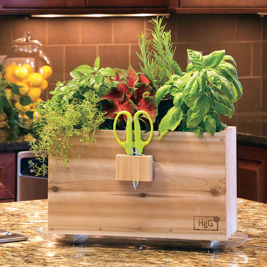 Wooden Planter Window Box Herb