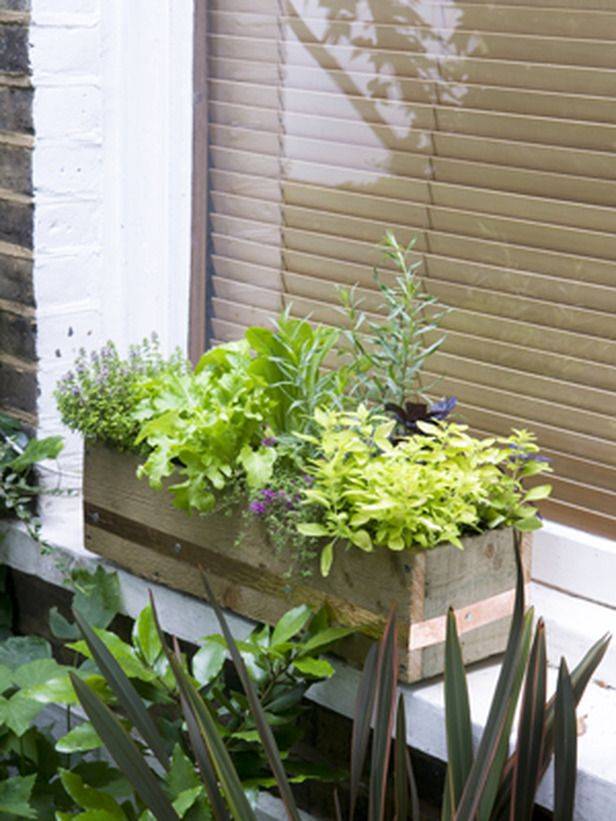 How To Plant A Window Box Herb Garden Fresh Herbs Window Box In