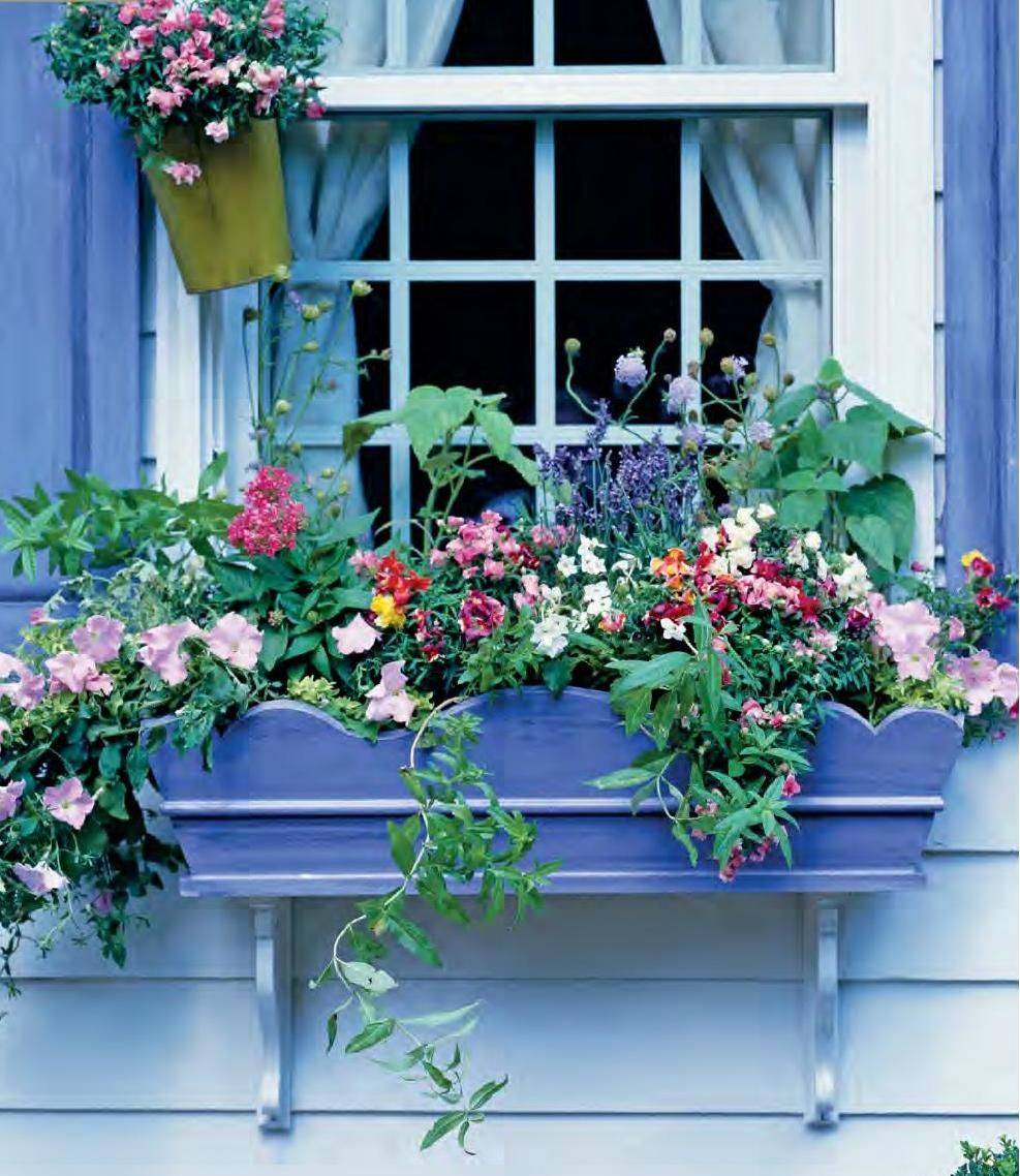 Kitchen Herb Planter Window Box Garden Pot Antique Amazoncouk