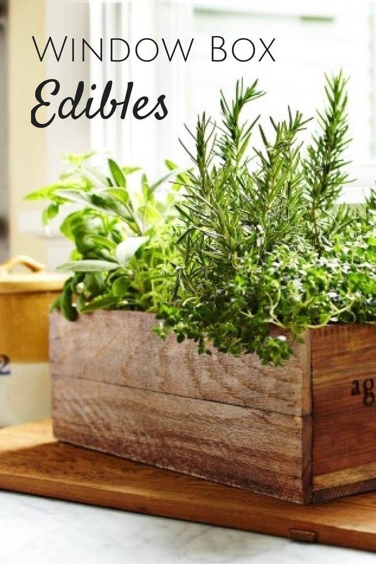 Kitchen Herb Planter Window Box Garden Pot Antique Amazoncouk