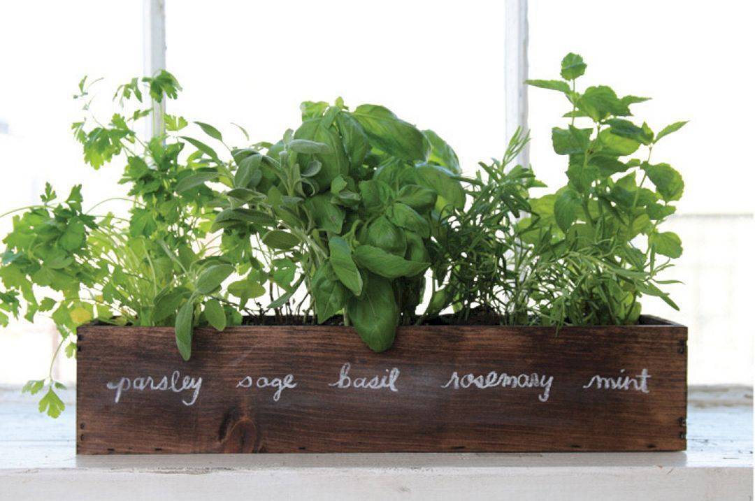 Living Larder Window Box Herb Planter