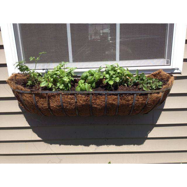 Hgtv Gardens Window Box