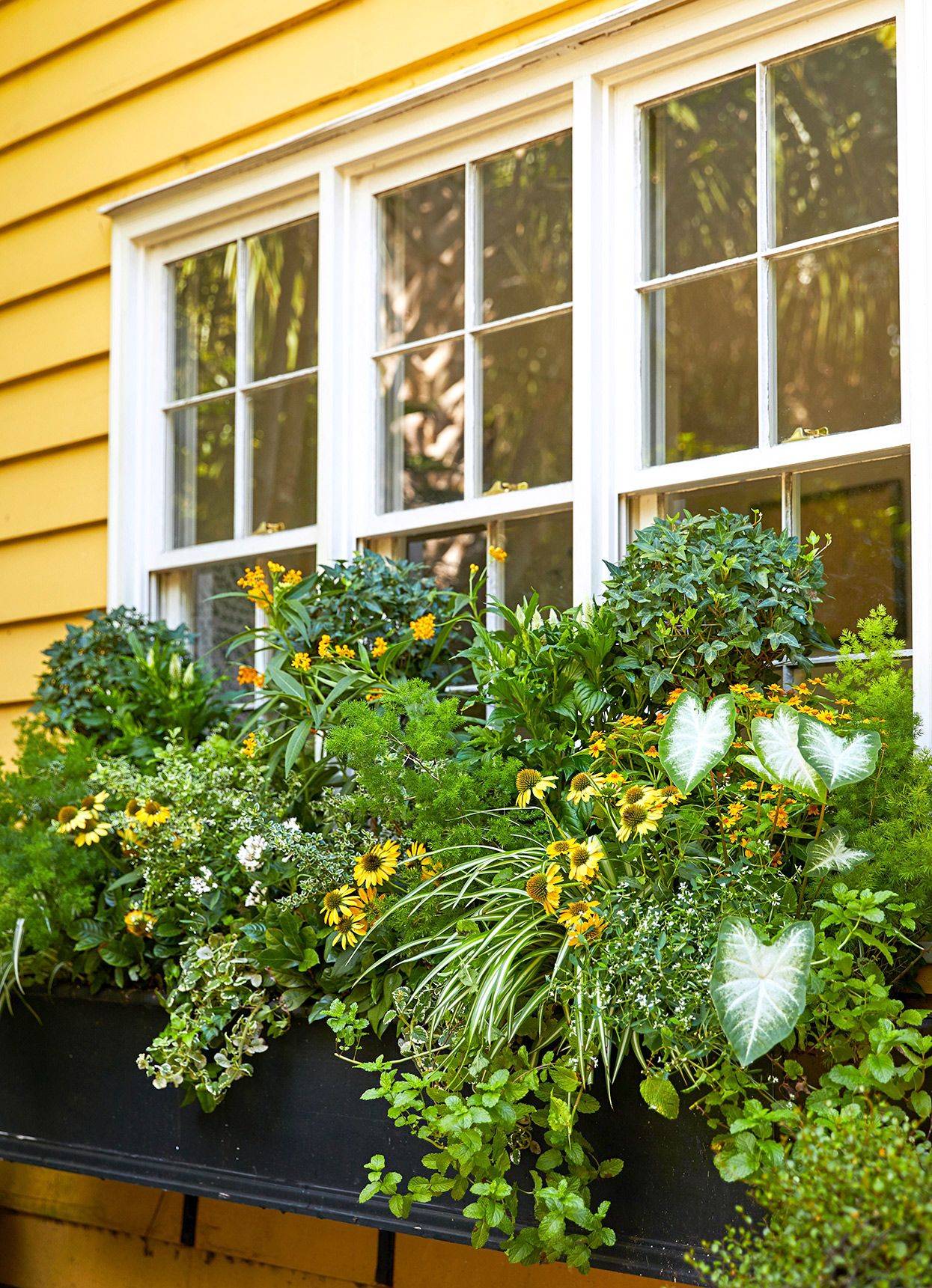 A Giveaway Herb Garden Design
