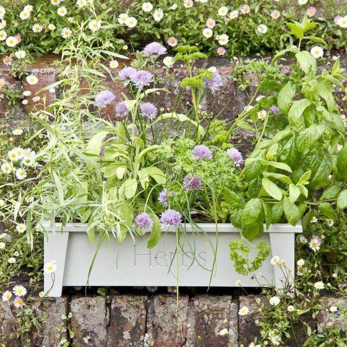 Window Box Herb Garden Home Design Ideas