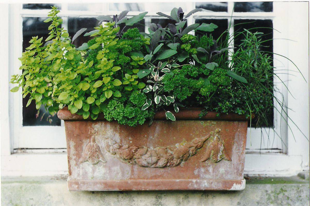 Fabulous Diy Herb Garden