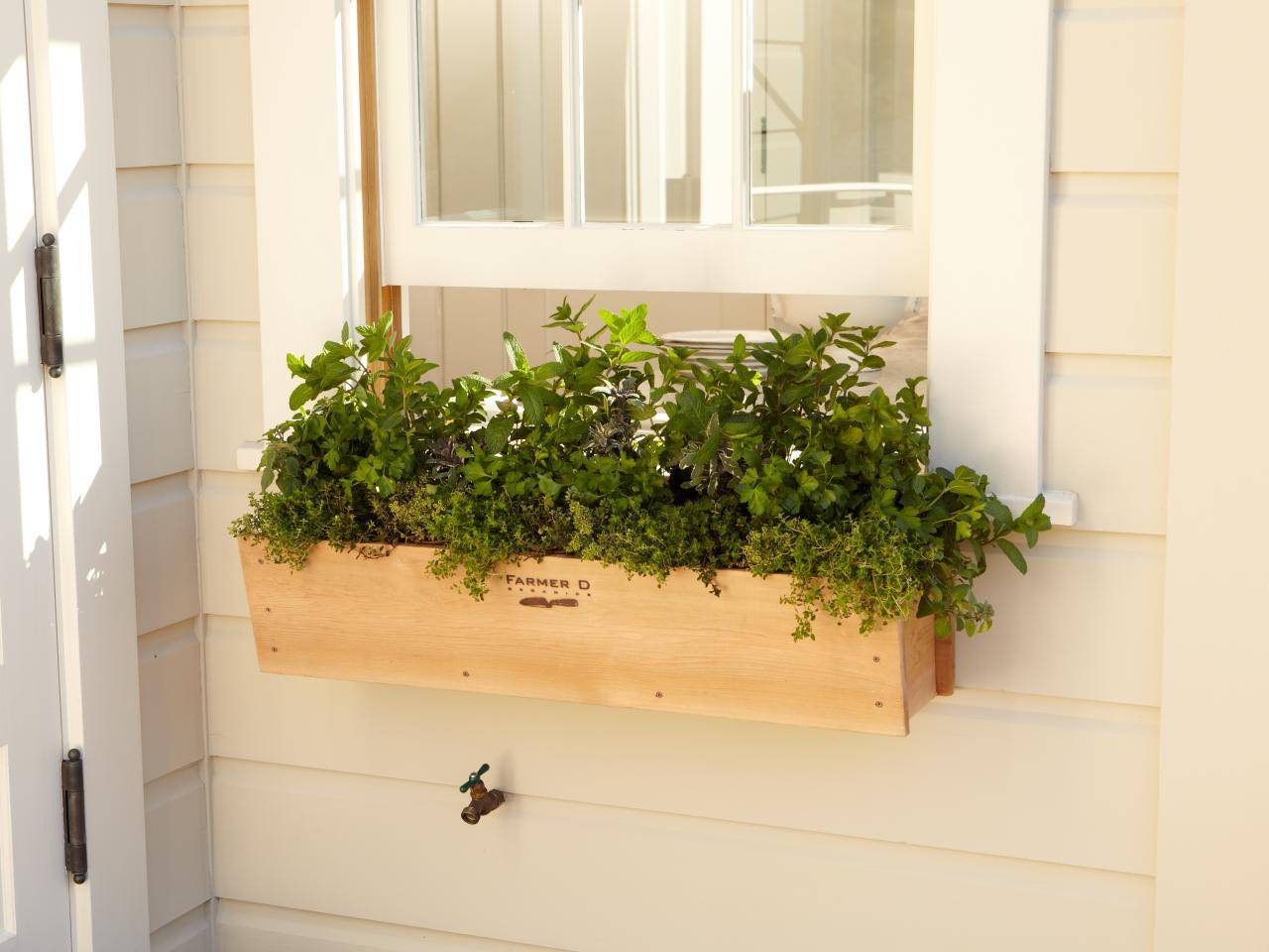Herbs Herb Garden Window