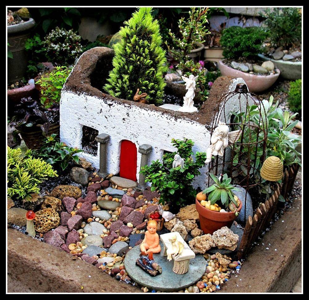 Backyard Design