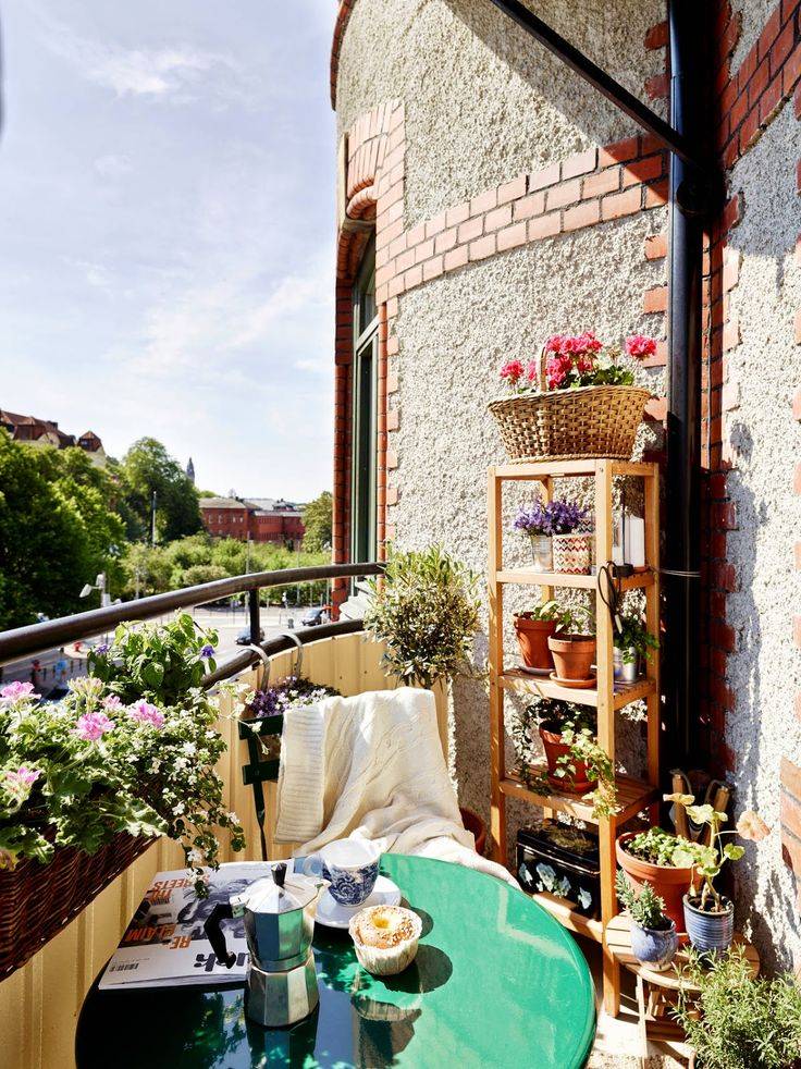 A Big Hobby My Small City Garden Garden Photo Small City Garden