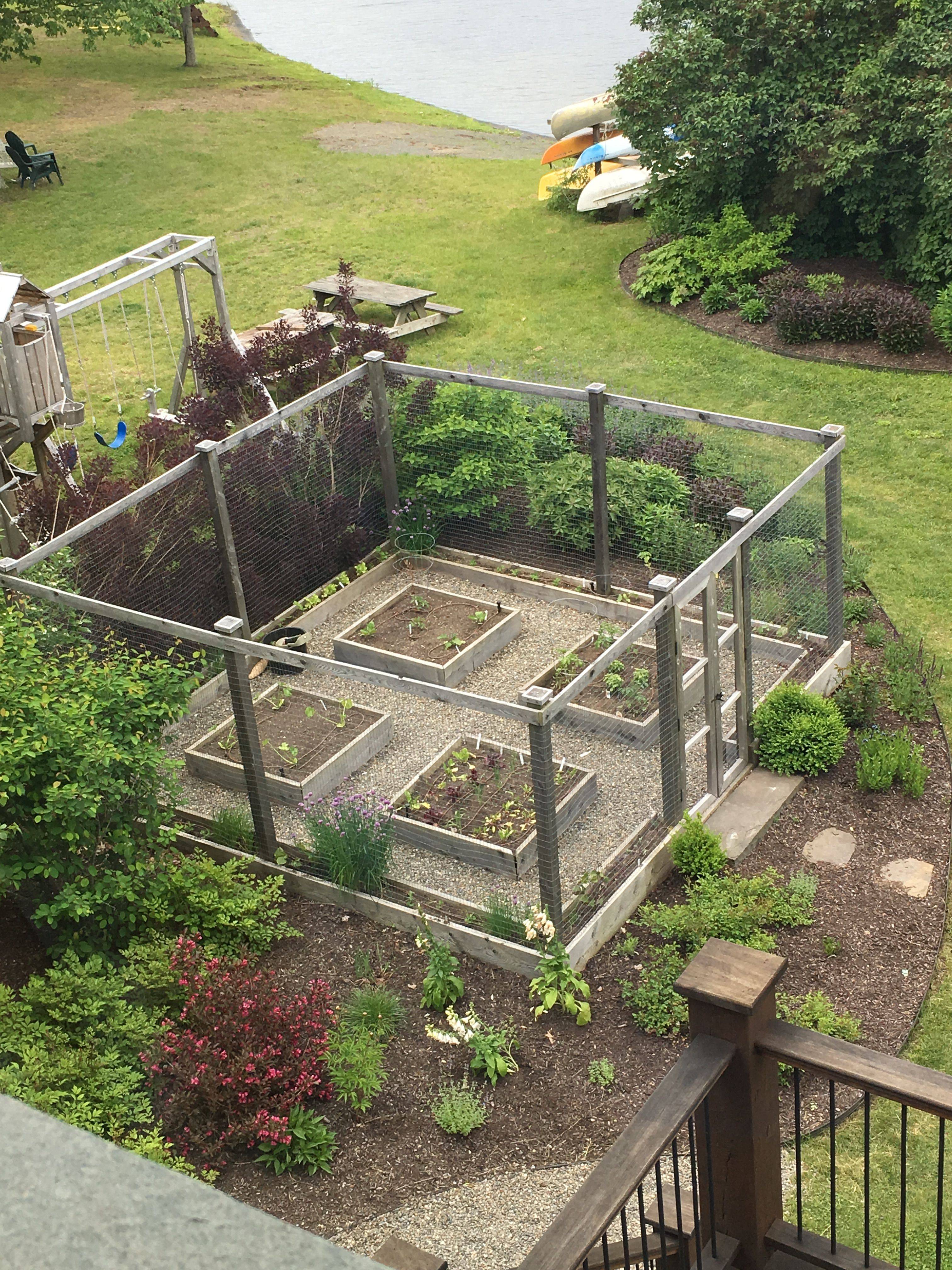 Wooden Hobby Greenhouses