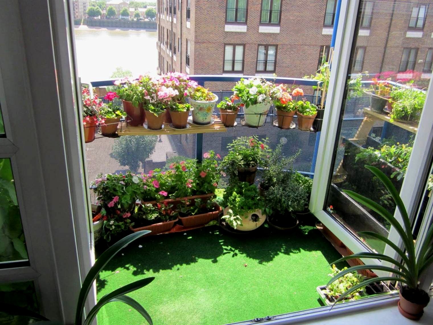Balcony Hobby Garden