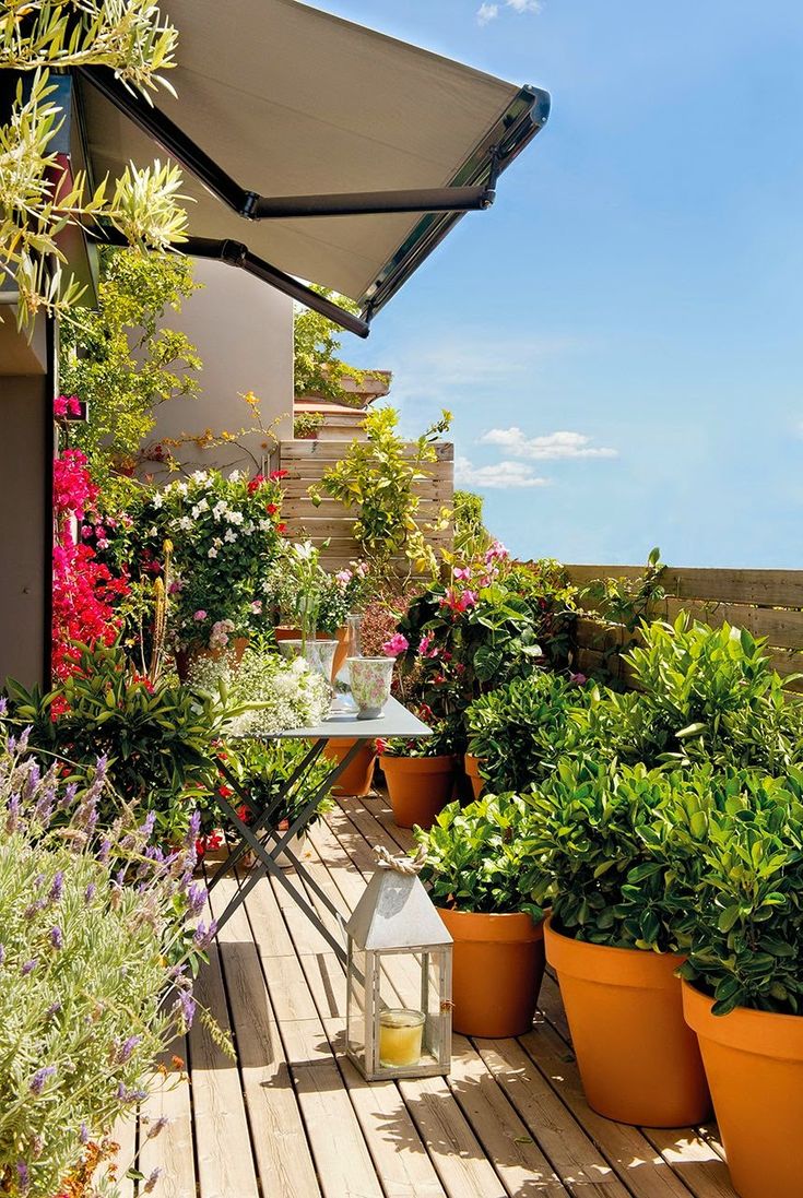 Small Flower Garden Ideas