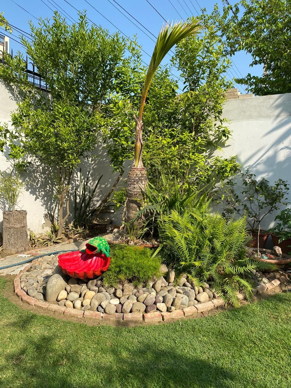 Pin On Gardening