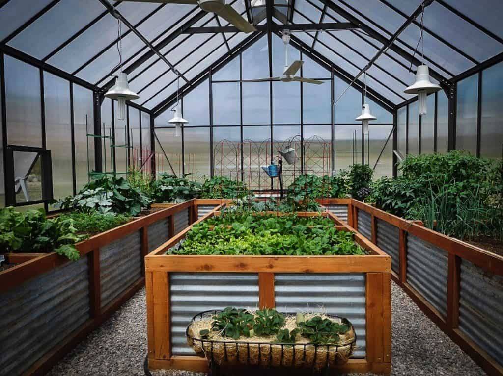 Diy Miniskirt Mini Greenhouse Ideas