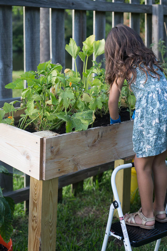 Childrens Play Garden Ideas