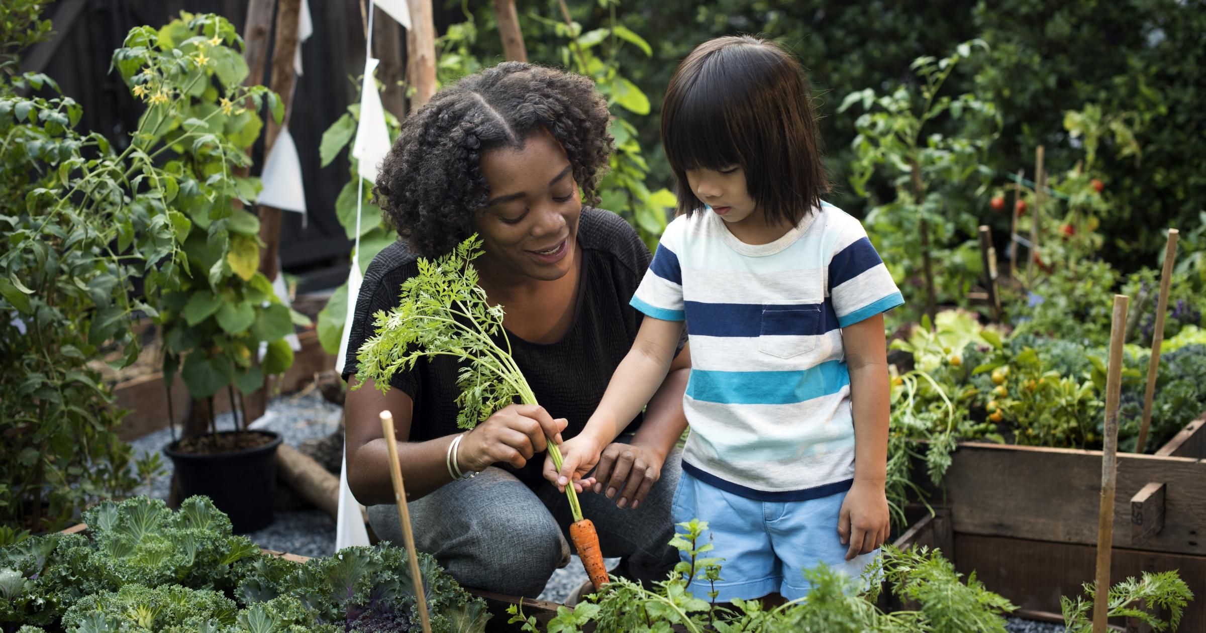 Childrens Play Garden Ideas
